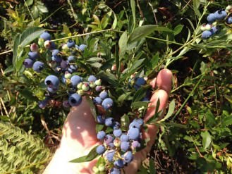 With Feet on Common Ground - Journal of Folklore and Education